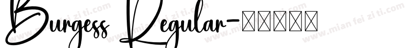 Burgess Regular字体转换